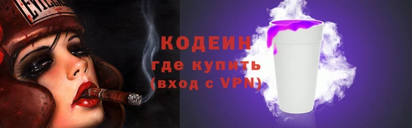хмурый Новозыбков