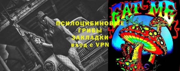 ПСИЛОЦИБИНОВЫЕ ГРИБЫ Абдулино