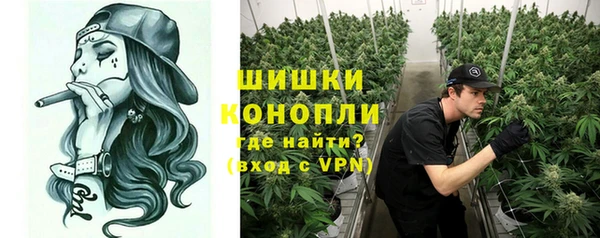 ПСИЛОЦИБИНОВЫЕ ГРИБЫ Абдулино