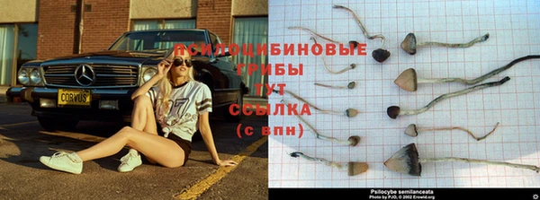 первитин Абаза