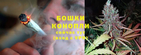 ПСИЛОЦИБИНОВЫЕ ГРИБЫ Абдулино