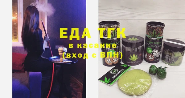 хмурый Новозыбков