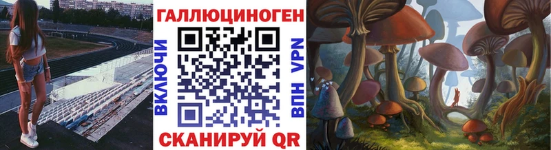 купить   Кохма  Псилоцибиновые грибы мицелий 