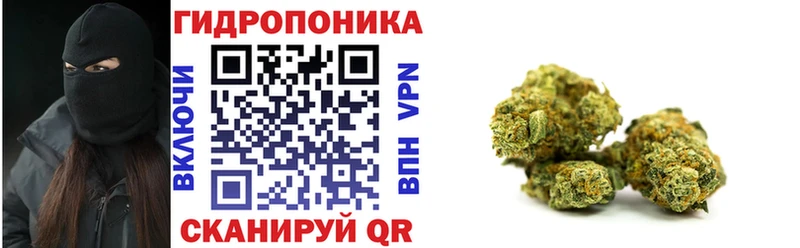 Бошки марихуана ГИДРОПОН  Кохма 